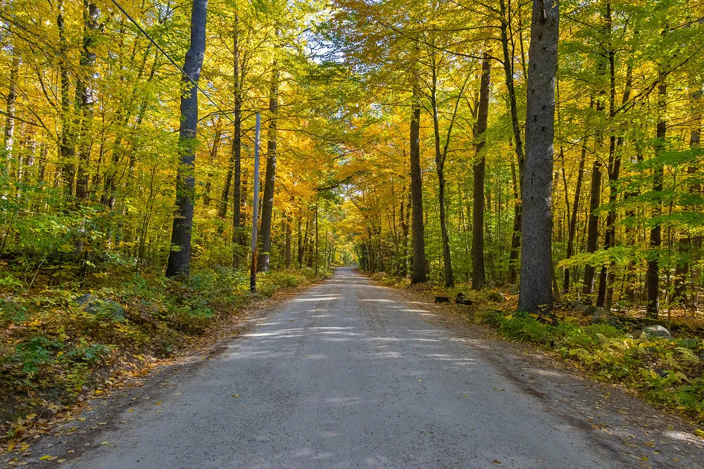 Web Design in Dunbarton, NH